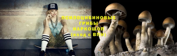 прущие крисы Белокуриха