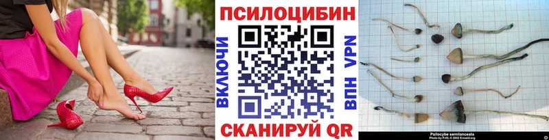 Галлюциногенные грибы Cubensis  купить наркотик  ссылка на мегу как войти  Котельнич 